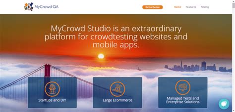 Micro-Tasking Platforms