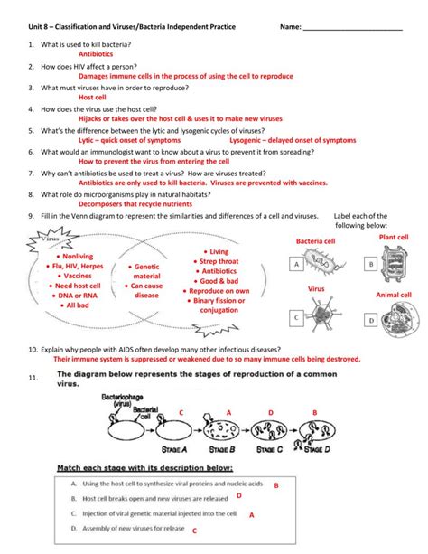 Microbes 101 Worksheet Answers