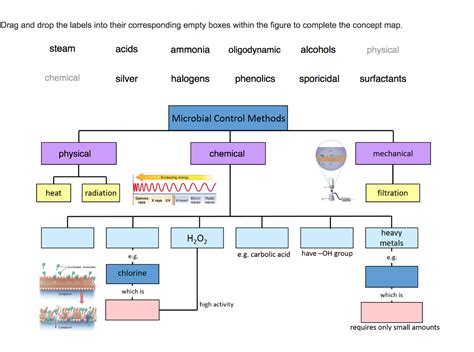 Microbial Control Methods Concept Map