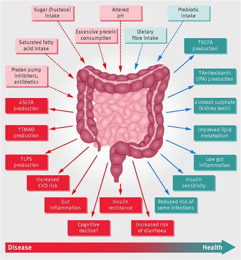 Microbiome