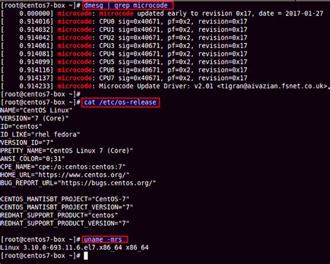 Microcode and firmware updates