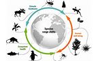 Microevolution and Its Impact on Ecosystems