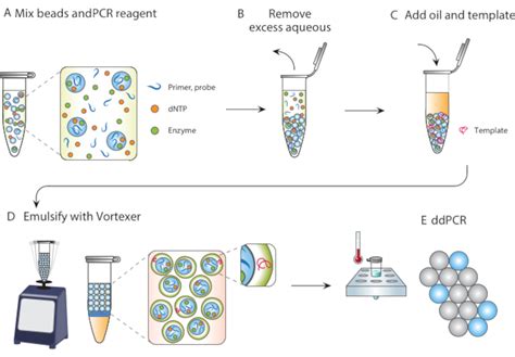 Microfluidics Free Single Cell Genomics With Templated Emulsification