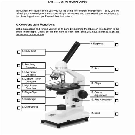 Understanding The Microscope Parts Worksheet Answer Key