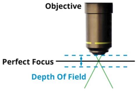 Unlocking the Wonders of Microscopic Worlds: A Comprehensive Guide to Understanding Depth of Field in Microscope Imagery