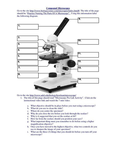 Microscope Parts And Use Worksheet Answers — db-excel.com
