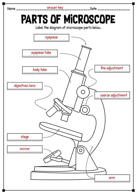 Microscope Parts Worksheet Worksheets | Microscope activity, Microscope