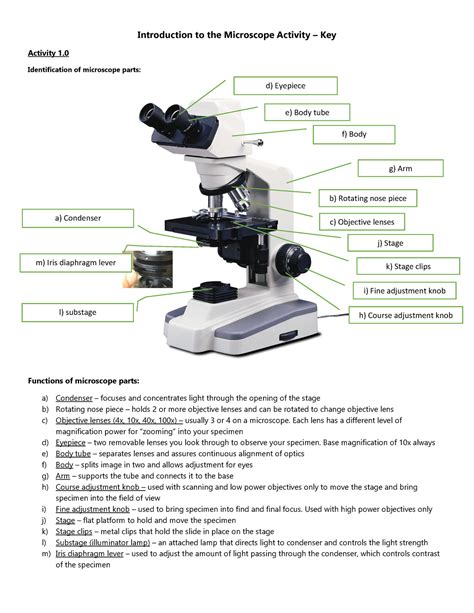 Microscope Parts and Use Worksheet Answer Key