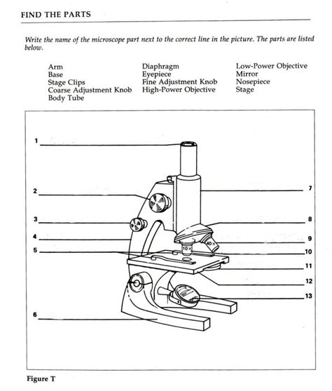 Microscope Parts and Use Worksheet Answers | Briefencounters