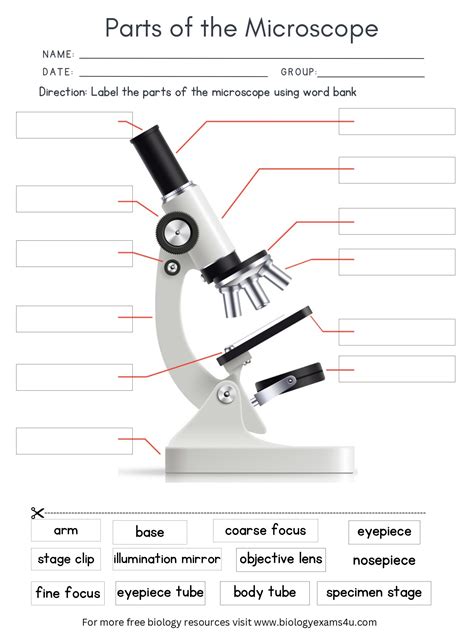 Microscope Worksheet