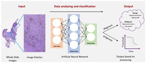 Breakthrough in Allergy Prediction: New AI Model Shows Promise for Peanut Allergy Detection