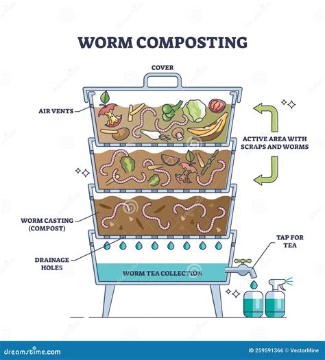 Scientists Utilize Worms to Convert Human Waste into Organic Compost