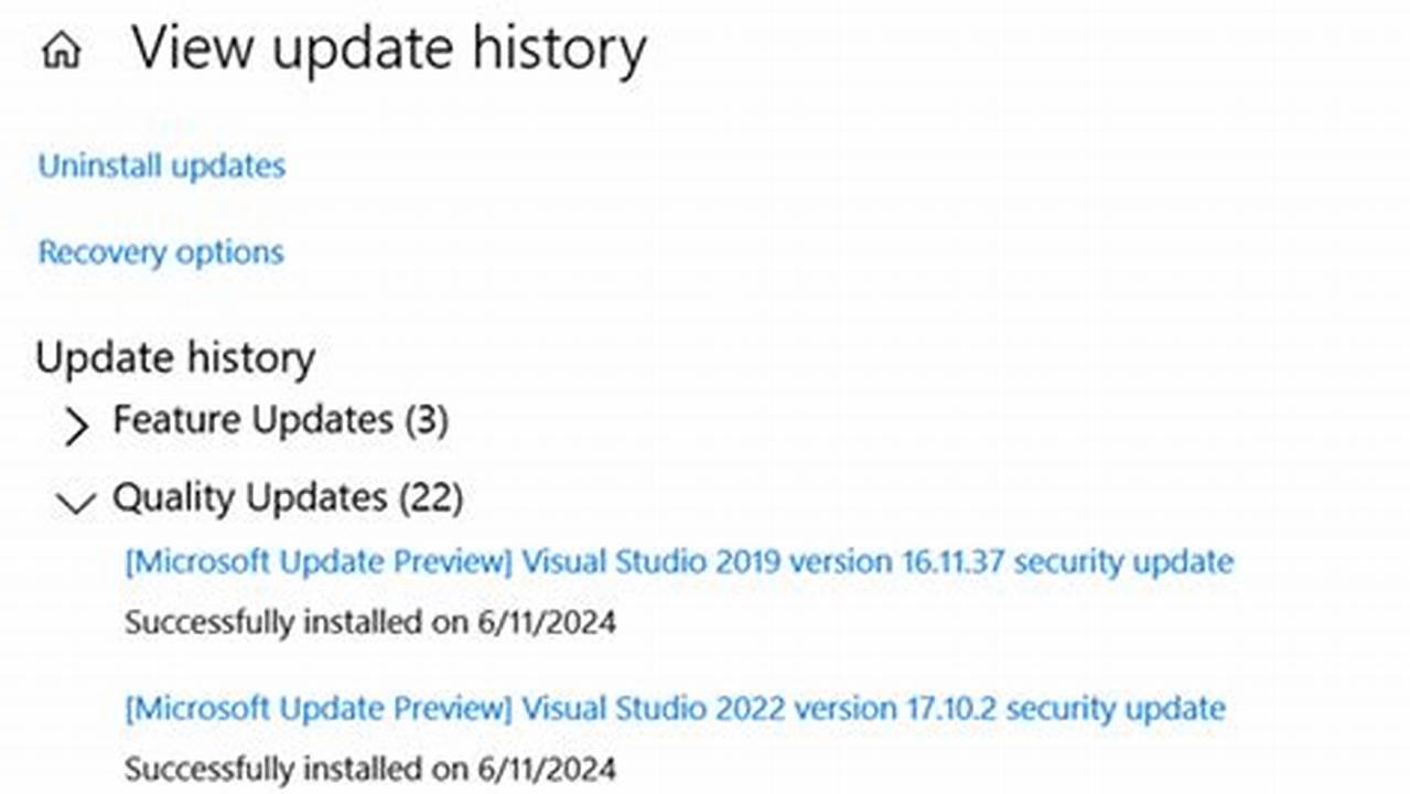 Microsoft Visual Studio Security Updates For June 2024