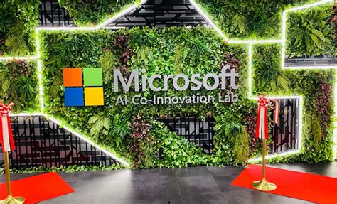 Microsoft Innovation