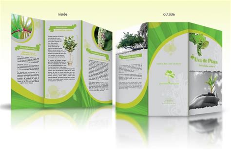 Microsoft Word Leaflet Template