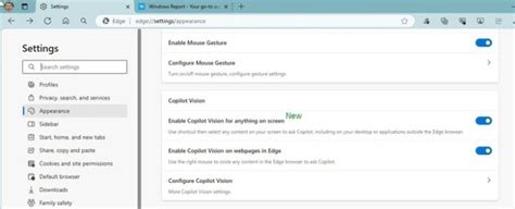 Microsoft renamed Circle to Copilot to Copilot Vision in Edge Canary