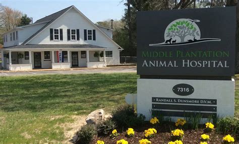 Discover Exceptional Pet Care at Middle Plantation Animal Hospital - Expert Veterinarians to Keep Your Furry Friends Healthy and Happy