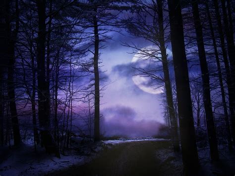 Midnight Moonlit Path