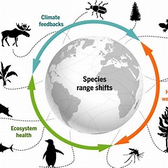Migration and its effects on ecosystems