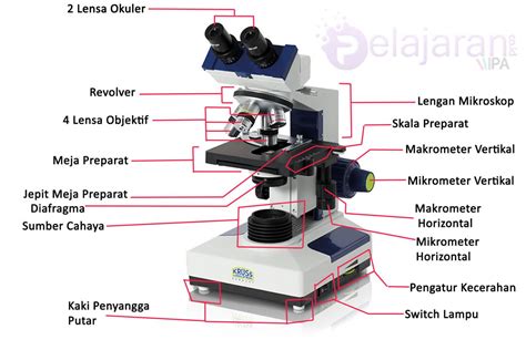 Mikroskop binokuler di bisang kedokteran