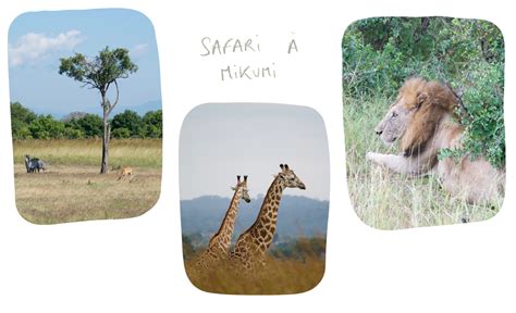 Mikumi Sunset Safari