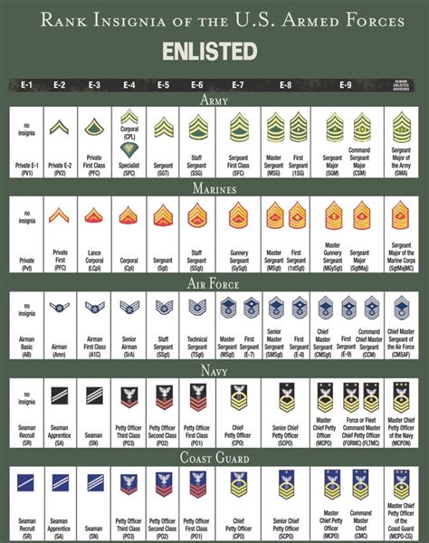 Military Rank Insignia Chart