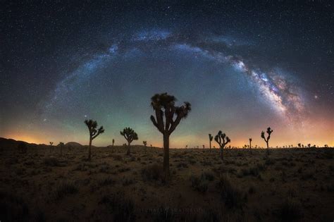 MilkyWay - California