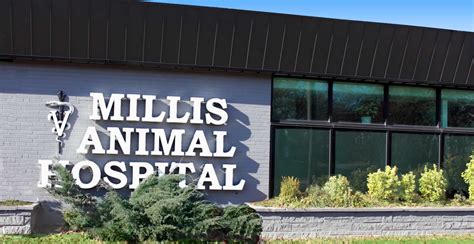 Millis Animal Hospital St Louis