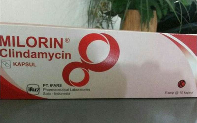 Milorin Clindamycin 300 Mg Untuk Jerawat