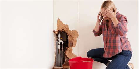 Milwaukee Home with Plumbing Problems