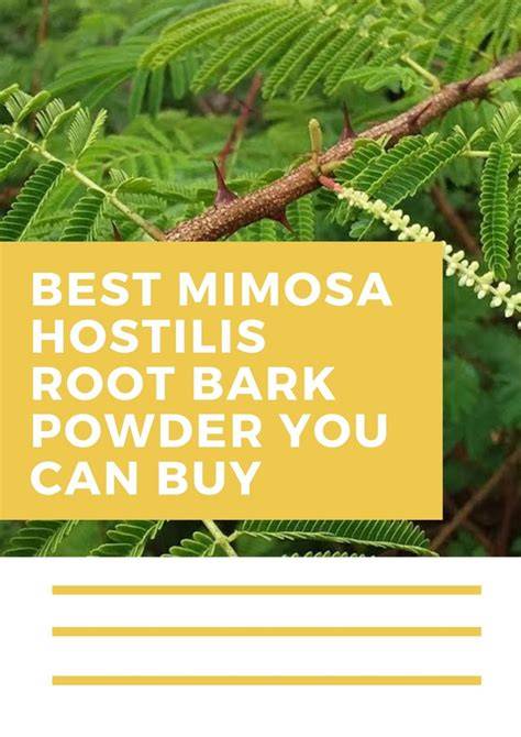 Mimosa Hostilis Root Bark Powder Amazon