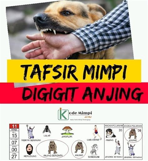 Mimpi Digigit Anjing