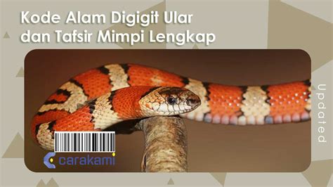 Mimpi digigit ular