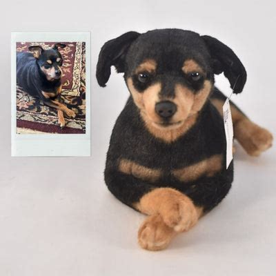 Get your cuddly fix with the adorable Min Pin stuffed animal - perfect for dog lovers!