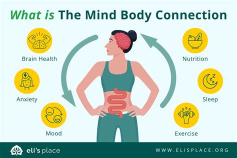 The Art of Integrating Mind and Body: Unlocking the Meaning of Mind-Body Connection
