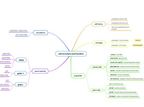 Answers_eukaryotic cell.html Cell biology, Animal cell organelles