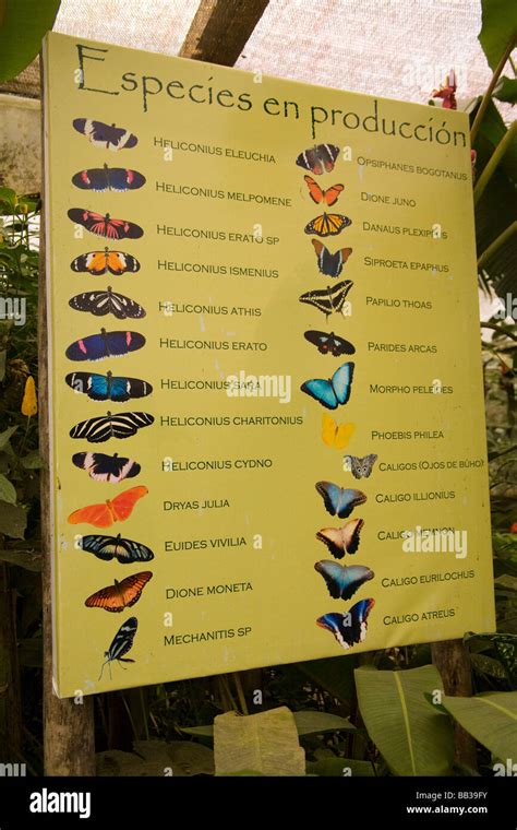 Mindo Butterfly Farm
