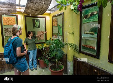 Mindo Ecuador Butterfly Farm