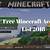 Minecraft Account List