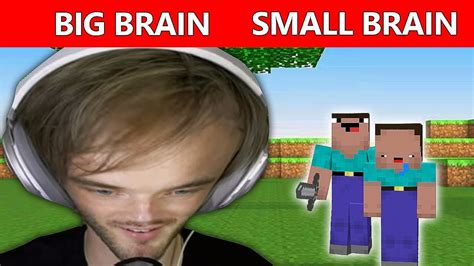 Minecraft Big Brain