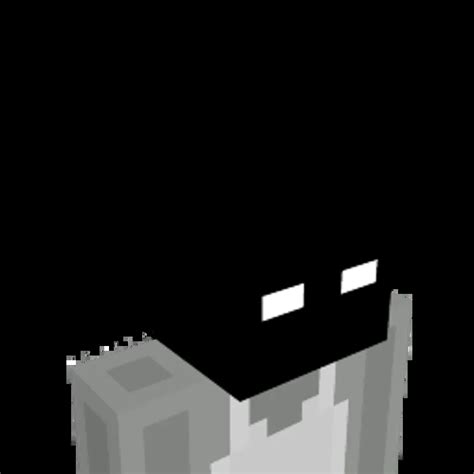Minecraft Character Blinking