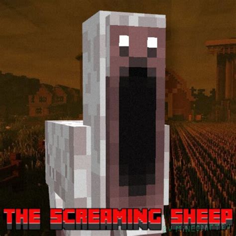 Minecraft Cursed Images Sheep