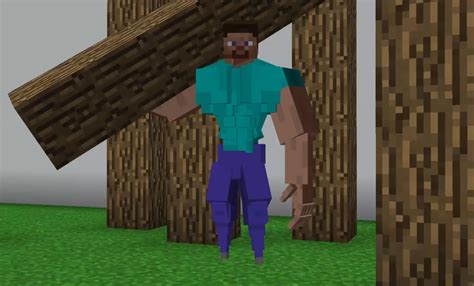 Minecraft Cursed Steve Hand
