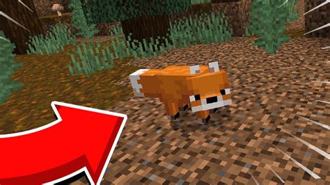 Minecraft Fox spawn locations