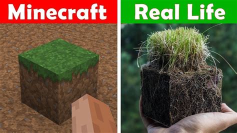 Minecraft Games In Real Life