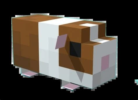 Minecraft Guinea Pig