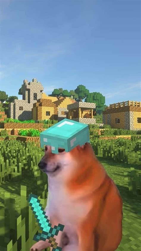 Minecraft Meme Wallpaper Iphone