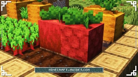 Minecraft Peel Beetroot
