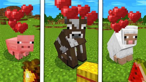 Minecraft Pig And Sheep