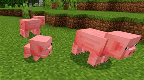 Minecraft Pig Baby